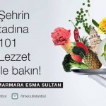 101 İstanbul Lezzeti