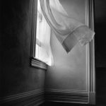 Harold Feinstein