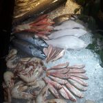 Meos Balık çeşitleri