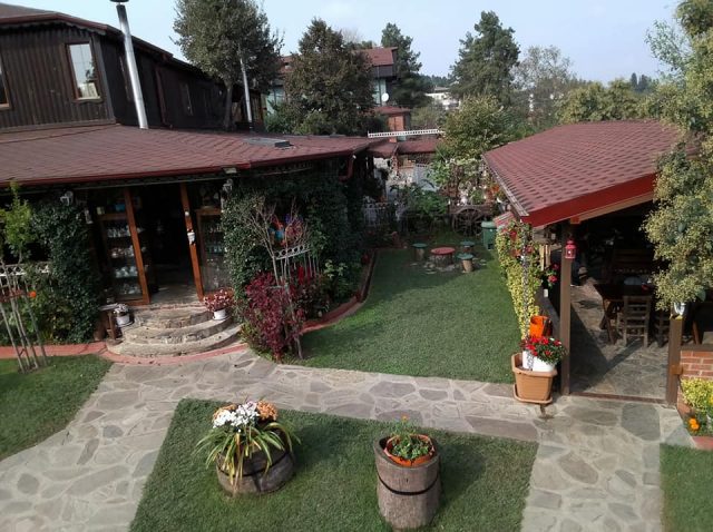 Kurna Nar Agacı